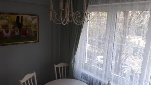 Шторы для маленькой кухни в хрущевке. Обычные шторы и занавески