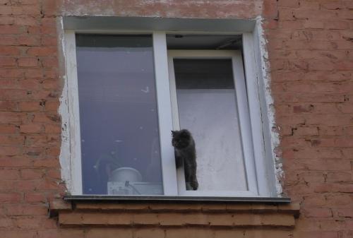 Пластиковое окно с форточкой на кухню. Как выбрать пластиковые окна с форточкой: плюсы и минусы