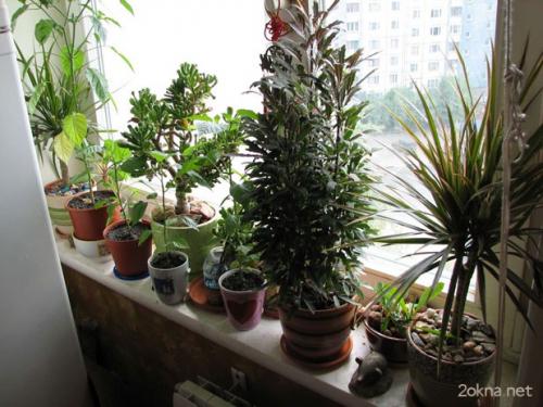 Пластиковые кухонные окна с форточкой. 7 причин для приобретения окна с форточкой