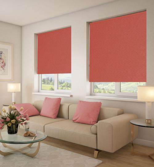 Дизайн окна с рулонными шторами. Рулонные шторы на окна: решение для любого интерьера с преимуществами