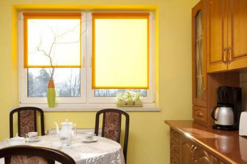 Рулонные шторы и тюль на кухне. Рулонные шторы на кухню: все, что нужно знать перед покупкой