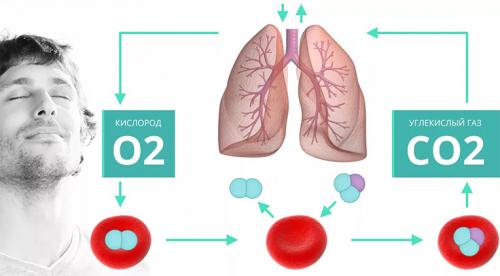 Как сделать режим проветривания на старых деревянных рамах. Причины образования росы 01 Как сделать режим проветривания на старых деревянных рамах. Причины образования росы 01