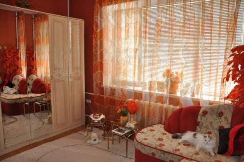 Тюль в зал без штор 2020. Тюль для зала: тренды и новинки