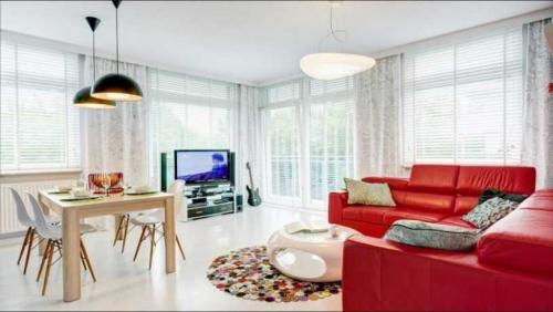 Шторы в интерьере гостинной. Шторы в гостиную: новинки, фото примеры современных штор, правила использования и особенности оформления